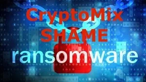 CtyptoMix shame